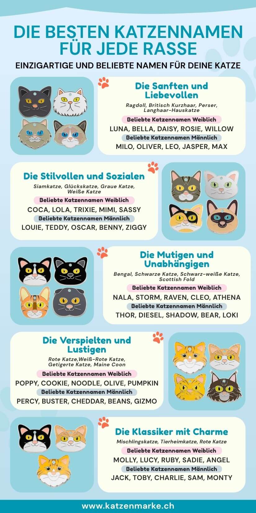 Übersicht mit Kätzchennamen nach Rasse und Charakter mit männlichen und weiblichen Namen und Katzenmarke